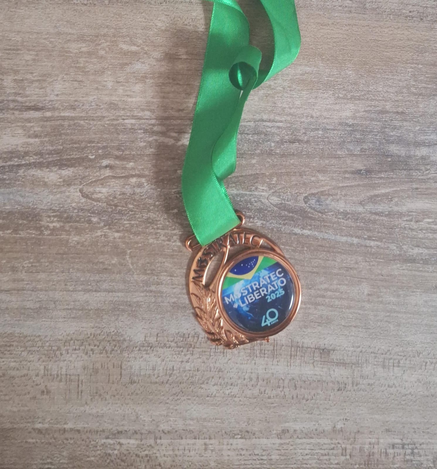 Medal received at the 2025 Scientific Fair